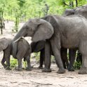 ZMB EAS SouthLuangwa 2016DEC09 KapaniLodge 013 : 2016, 2016 - African Adventures, Africa, Date, December, Eastern, Kapani Lodge, Mfuwe, Month, Places, South Luanga, Trips, Year, Zambia